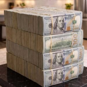 A legal expert reviewing an asset forfeiture notice in San Diego to recover seized cash and property from law enforcement.