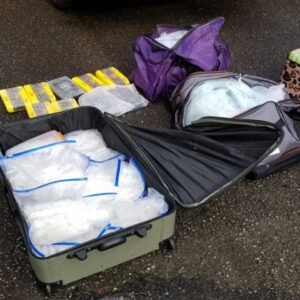 A highly rated San Diego drug defense lawyer reviewing case files to prepare a suppression motion.