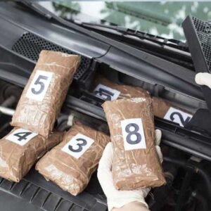 A specialized criminal defense attorney investigating a blind mule drug smuggling case at the San Diego border.