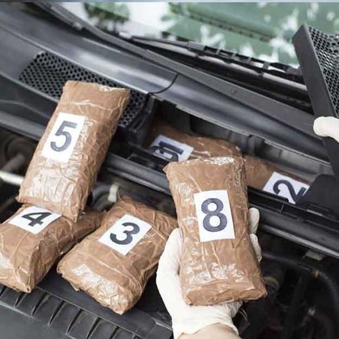 A specialized criminal defense attorney investigating a blind mule drug smuggling case at the San Diego border.