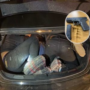 Migrant smuggling lawyers San Diego Jason Ronis Law federal criminal defense attorney Southern District California free consultation