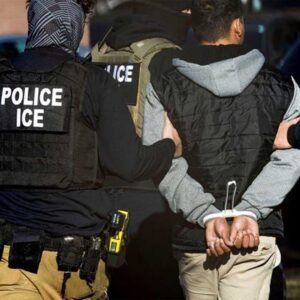 What to do if arrested detained by immigration San Diego know your rights bilingual attorney Jason Ronis Law free consultation